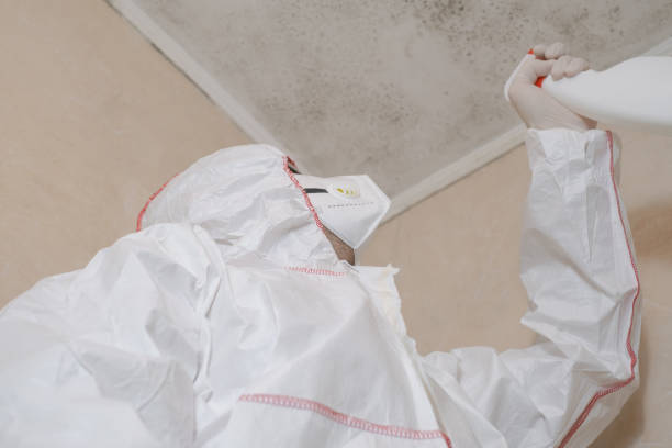 Best Toxic Mold Removal  in Plains, MT
