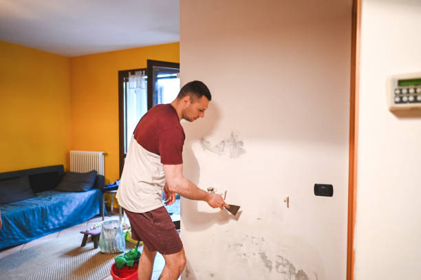 Office Mold Removal Services in Plains, MT